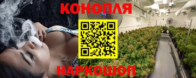 стаф Тара