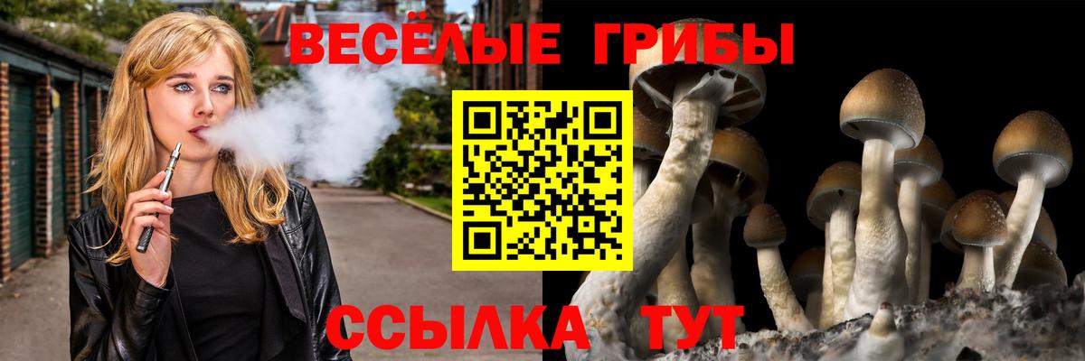 Псилоцибиновые грибы мицелий Муром